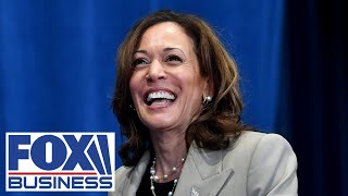 Former acting ICE director This is why Kamala was chosen to be ‘border czar’ [upl. by Wistrup]