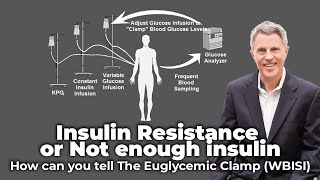 Hyperinsulinemiceuglycemic Clamps In Conscious Unrestrained Mice l Protocol Preview [upl. by Anilocin580]