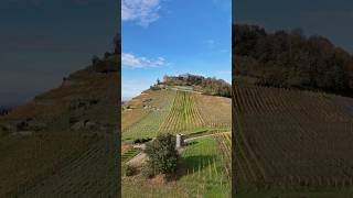 Burg Staufen im Breisgau 🇩🇪 Hochschwarzwald schwarzwald burg ruine deutschland dji mini4pro [upl. by Leanor]