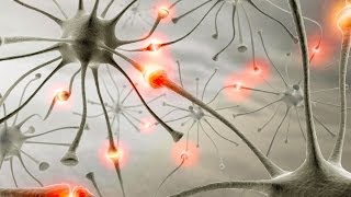 How We Learn  Synapses and Neural Pathways [upl. by Elka]