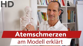 Atemschmerzen am Modell  Asthmaschmerzen Atmenprobleme Atmung Lungenschmerzen [upl. by Aid]