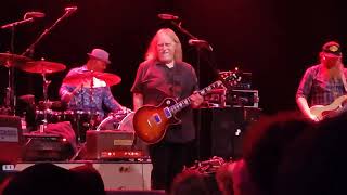 Warren Haynes Band  Thorazine Shuffle 20240614  Effenaar Eindhoven [upl. by Anialahs]