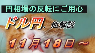 【TAKA FX】円相場の買戻しに要警戒！ ドル円他各通貨の環境認識解説。各種指数、GOLDなど 11月18日月～ [upl. by Namlak]