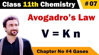 Avogadros law class 11 chemistry [upl. by Avin983]