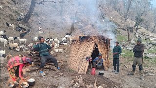 Best Rainy Compilation into The Rainfall  Beautiful Nepali Mountain Full Documenary Primitive Life [upl. by Jermain72]