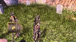 Lets Play Neverwinter Nights 150 Luskan Cemetary Caretaker [upl. by Onaireves499]