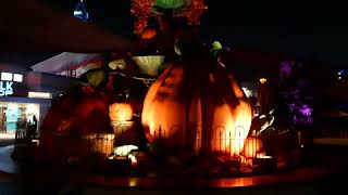 Pumpkins Knotts Scary Farm Knotts Berry Farm Buena Park California USA October 9 2024 [upl. by Derte]