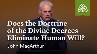 John MacArthur Does the Doctrine of the Divine Decrees Eliminate Human Will [upl. by Betsey350]