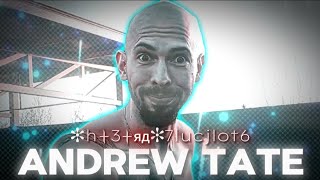 4K Andrew Tate 「EDIT」  vyral  ✻h3яд✻7lucjlot6 [upl. by Graham]