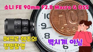 소니 FE 90mm F28 Macro G OSS 매크로 렌즈의 정밀촬영 [upl. by Archangel976]