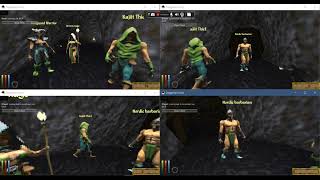 Daggerfall Unity Multiplayer demo [upl. by Llenil200]