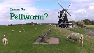 Pellworm eine kleine nordfriesische Insel im Wattenmeer 2020 [upl. by Dupin]