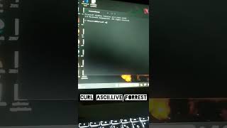 cmd Tricks amp Hacks cmd shortvideo tiktok reels CmdCommand trending trendingshorts cmdtricks [upl. by Eydie]