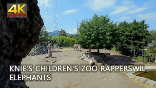 Knies Childrens Zoo Rapperswil Switzerland elephants [upl. by Llemor707]