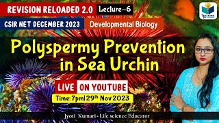 Revision Reloaded 20  Polyspermy Prevention in Sea Urchin  CSIR Dec 2023  Lecture 6 [upl. by Tadich]