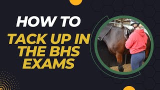 How To Tack Up in the BHS Exam [upl. by Seraphim]