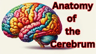 🧠 Anatomy of the Cerebrum [upl. by Andrade]