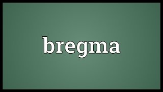 Bregma Meaning [upl. by Natascha]