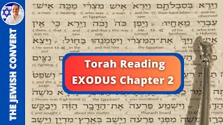 Exodus Chapter 2  Torah Reading in Hebrew with English Translation  TORAH STUDY [upl. by Stephani]