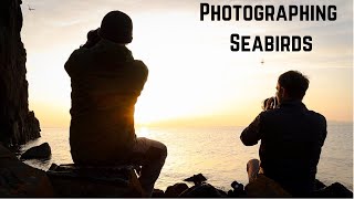 Photographing Seabirds in Flight  DSLR vs Mirrorless [upl. by Scarface]