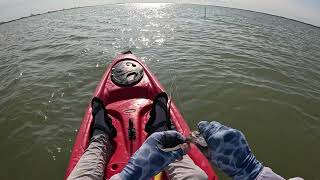 Fly Fishing  Nueces Bay Texas [upl. by Ziul]