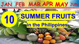 10 Summer Fruits in the Philippines to Enjoy  with Price per kg [upl. by Darrill71]