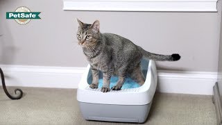 AllInOne Crystal Litter Box System [upl. by Haissi730]