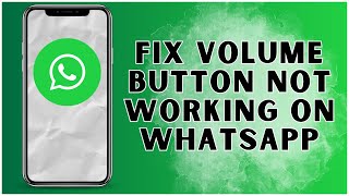 How to Fix Volume Button Not Working While Using WhatsApp 2024  WhatsApp [upl. by Ardekahs]