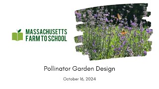 Pollinator Garden Design [upl. by Ynoep364]