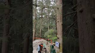 Hadimba Devi Temple in Manali [upl. by Radburn]