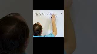 A Visual Guide to Factoring Polynomials for Students [upl. by Eiggem]