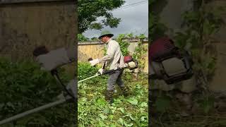 Cutting down trees Clean up house abandoned clean cleanup cuttingdown [upl. by Pol]