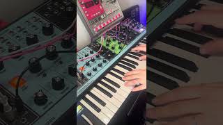 Maddy made cool synth chords Moog homestudio chords synth [upl. by Lahey]