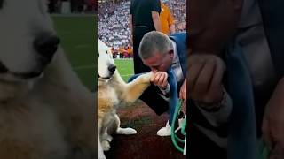 Kirk Herbstreit Speaks About Late Dog Ben During Alabama vs LSU football dog ben goldenretriever [upl. by Ashien904]