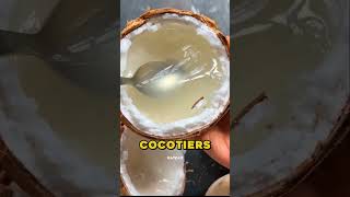 Une noix de coco très rare 🥥 [upl. by Weed]