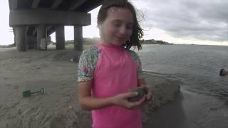 Jumping off the Longport Bridge Ocean City NJ [upl. by Serena]