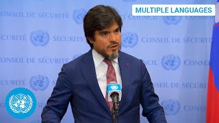 ENES Ecuador on Venezuela  Security Council Media Stakeout  United Nations [upl. by Town566]