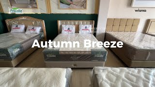 Kasur Springbed Autumn Breeze by Procella [upl. by Kcolttam172]