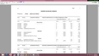 S10 solucion al problema de visualizar e imprimir presupuesto [upl. by Cicenia]