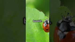 ¿Ladybug Lore ¿Tiny Titans Thrive Can Their Secrets Keep Nature Alive 🐞🌿 BugBuzz animals [upl. by Ailin665]