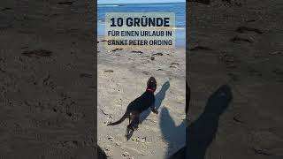 10 Gründe für einen Urlaub in Sankt PeterOrding an der Nordsee – auch mit Hund [upl. by Sihon392]