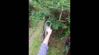 Billy opening gates what a good horse gate bridleway horseriding [upl. by Iew]