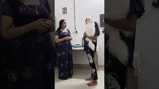 enikki tata poyal mathiyoutube dogvediosdoglover shorts [upl. by Cirdec]