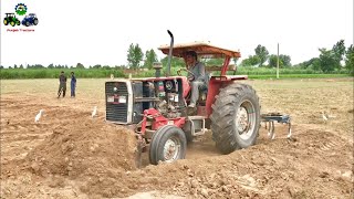 MF 385  85HP Most Powerful Tractor of Pakistan Operating Front Blade amp Cultivator [upl. by Nyrem]