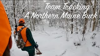 Tracking A Northern Maine Buck As A Team  Rifle Season 24 [upl. by Algar]