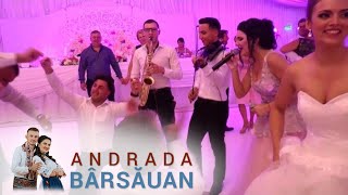 Andrada Barsauan si FORMATIA  Iara urla ulita  LIVE [upl. by Eilla]