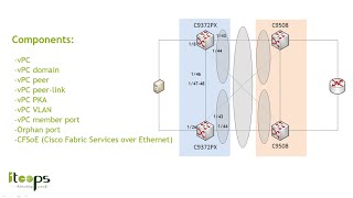 Cisco NXOS  vPC Troubleshooting Spanish [upl. by Nelleyram116]