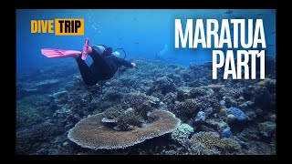 VLOG  DIVE TRIP  Maratua East Borneo Indonesia  Part 1 [upl. by Garner206]