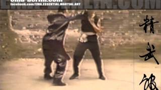 EMA  ESSENTIAL MARTIAL ARTS Klassiks  Meister Drago 1994 [upl. by Darrey96]