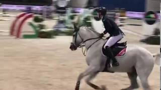 FEI Weltcup Verona 2018 Chardonnay 79 amp Max KÃ¼hner AUTT [upl. by Alaecim]